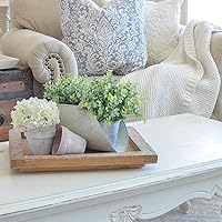 Vista 3 de Rinlong - Plantas para el exterior y flores mixtas