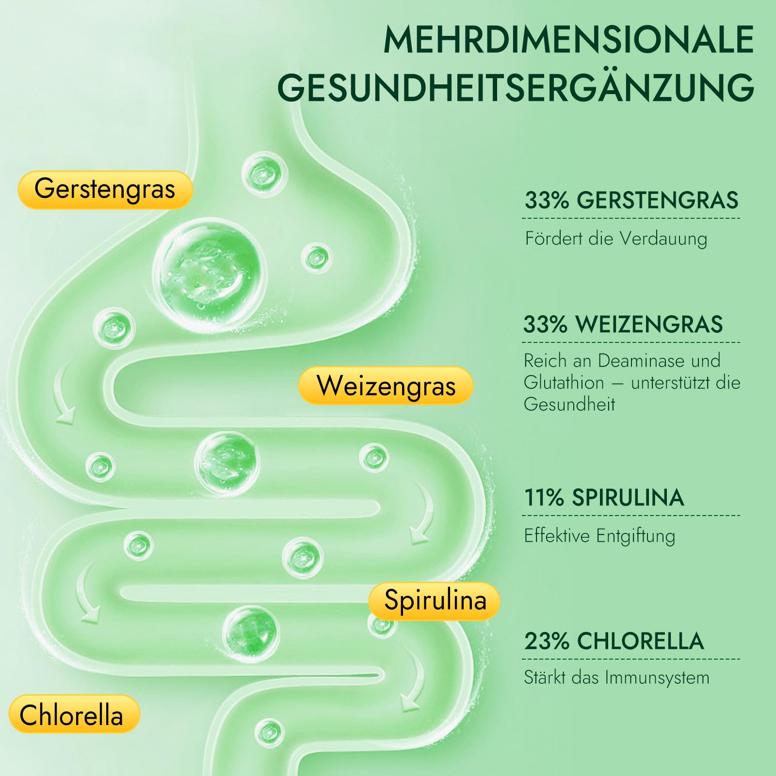 Grüne Entgiftungspulver, 200g Grüne Superfood Pulver Helfer, Greens Pulver mit Matcha Spirulina, Gerstengras, Moringa, Ballaststoffreich & Vegan | Natürliches Pflanzenpulver für Alltag & Ernährung