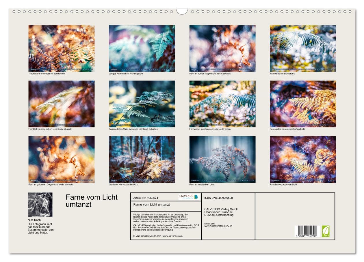Farne vom Licht umtanzt (Wandkalender 2026 DIN A2 quer), CALVENDO Monatskalender: Farne bei verschiedenen Lichtstimmungen (CALVENDO Natur)