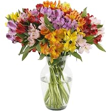 KaBloom-24 Alstroemeria Bouquet,Flowers for Valentine, Mother's Day
