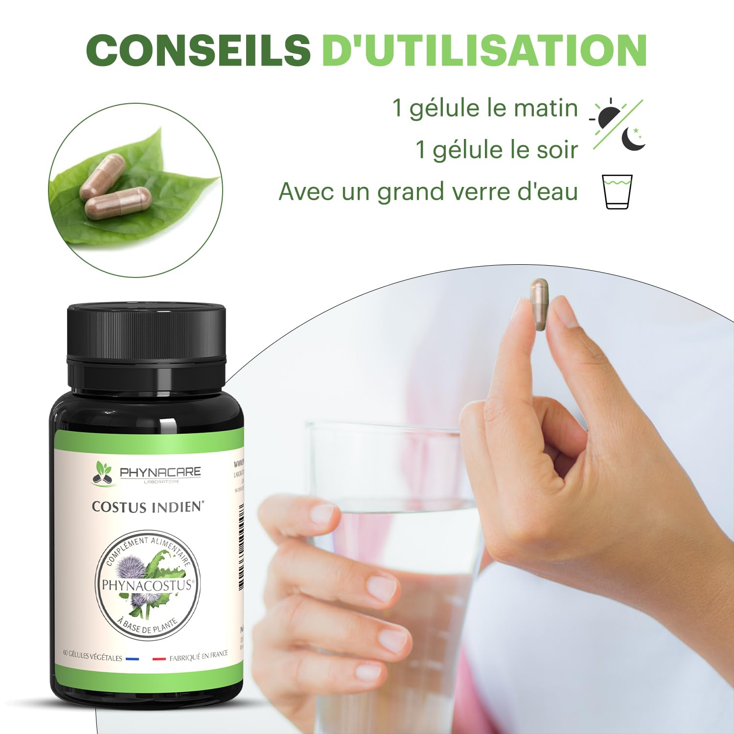 COSTUS INDIEN - COSTUS MARIN - 60 GÉLULES VÉGÉTALES - PHYNACOSTUS, FABRIQUE ET ANALYSÉ EN FRANCE, PHYNACARE LABORATOIRE