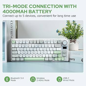 EPOMAKER TH80-X ガスケット ゲーミングキーボード b374 71eMyRH2mRL._UF350,350_QL80_.jpg