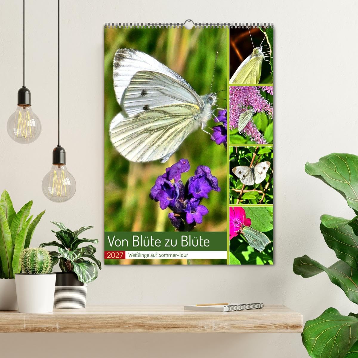 CALVENDO - Von Blüte zu Blüte - Weißlinge auf Sommer-Tour (Wandkalender 2027 DIN A2 hoch), Monatskalender: Verschiedene Schmetterlinge der Familie der Weißlinge