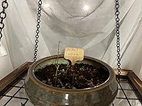 Review Image by Nicole Nicole