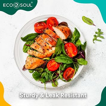 ECO SOUL Paper Plates (23Cm) 9