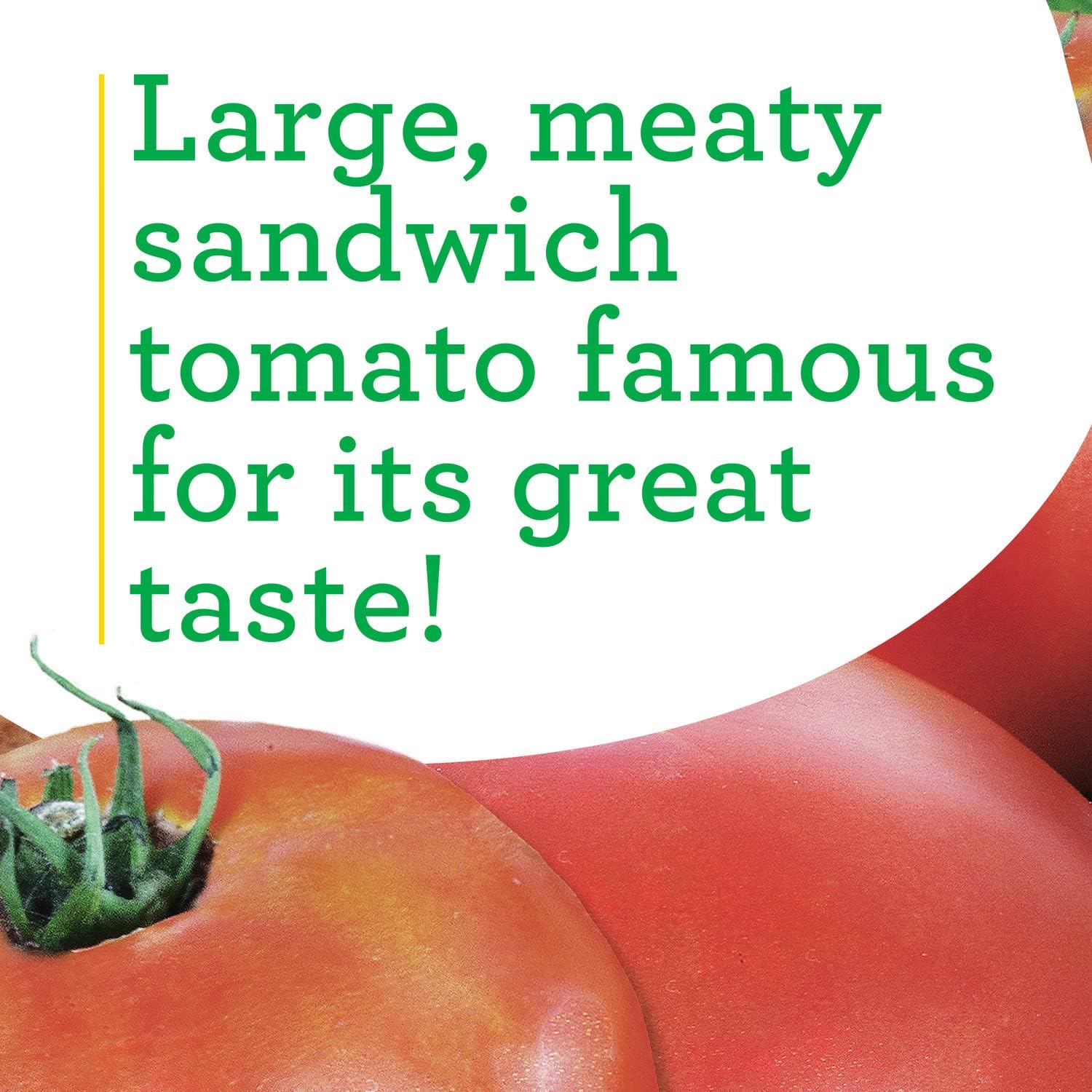 Bonnie Plants Park's Whopper Improved Tomato, 19.3 oz., 4-Pack, Live Plants