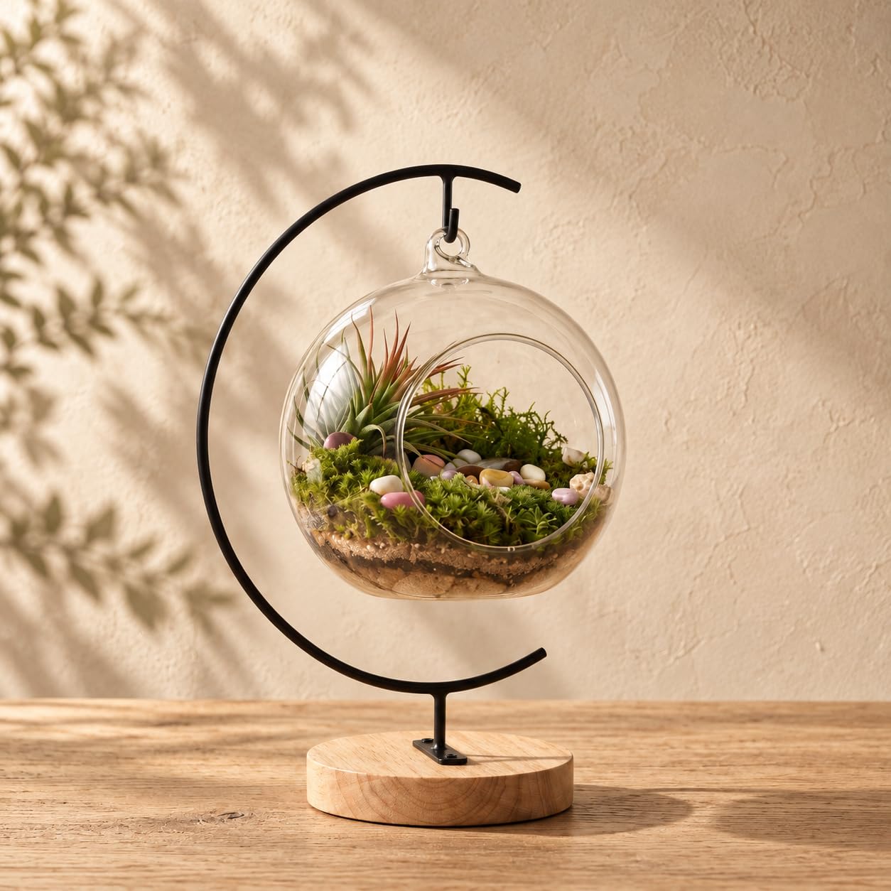 Amazon.com: LuckyRunes DIY Glass Terrarium Kit with Live Moss