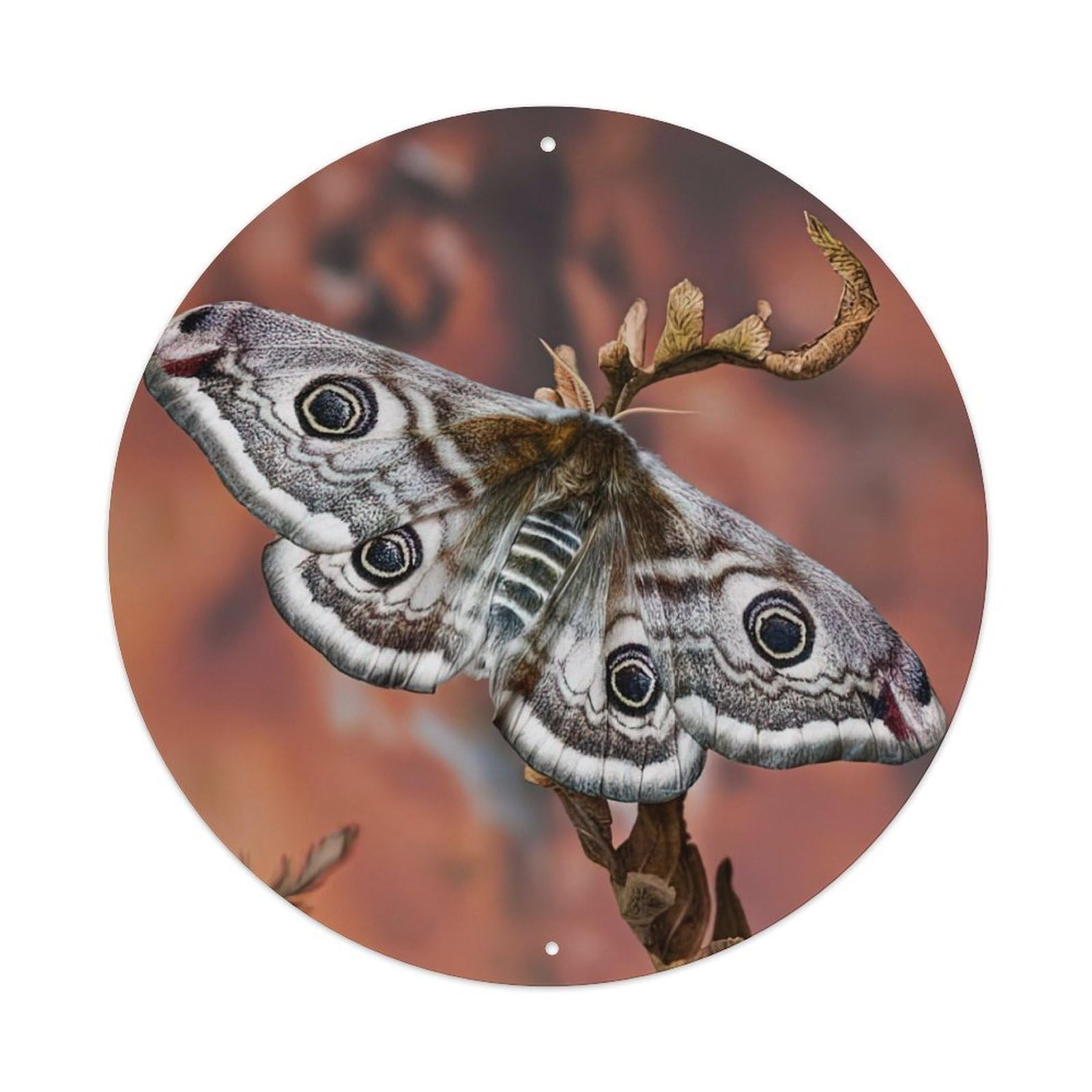 Insect Little Emperor Moth Vintage Metal Tin Sign Plaque Wall Decor for Cafe, Club, Garden Round Metal Poster 8x8Inch