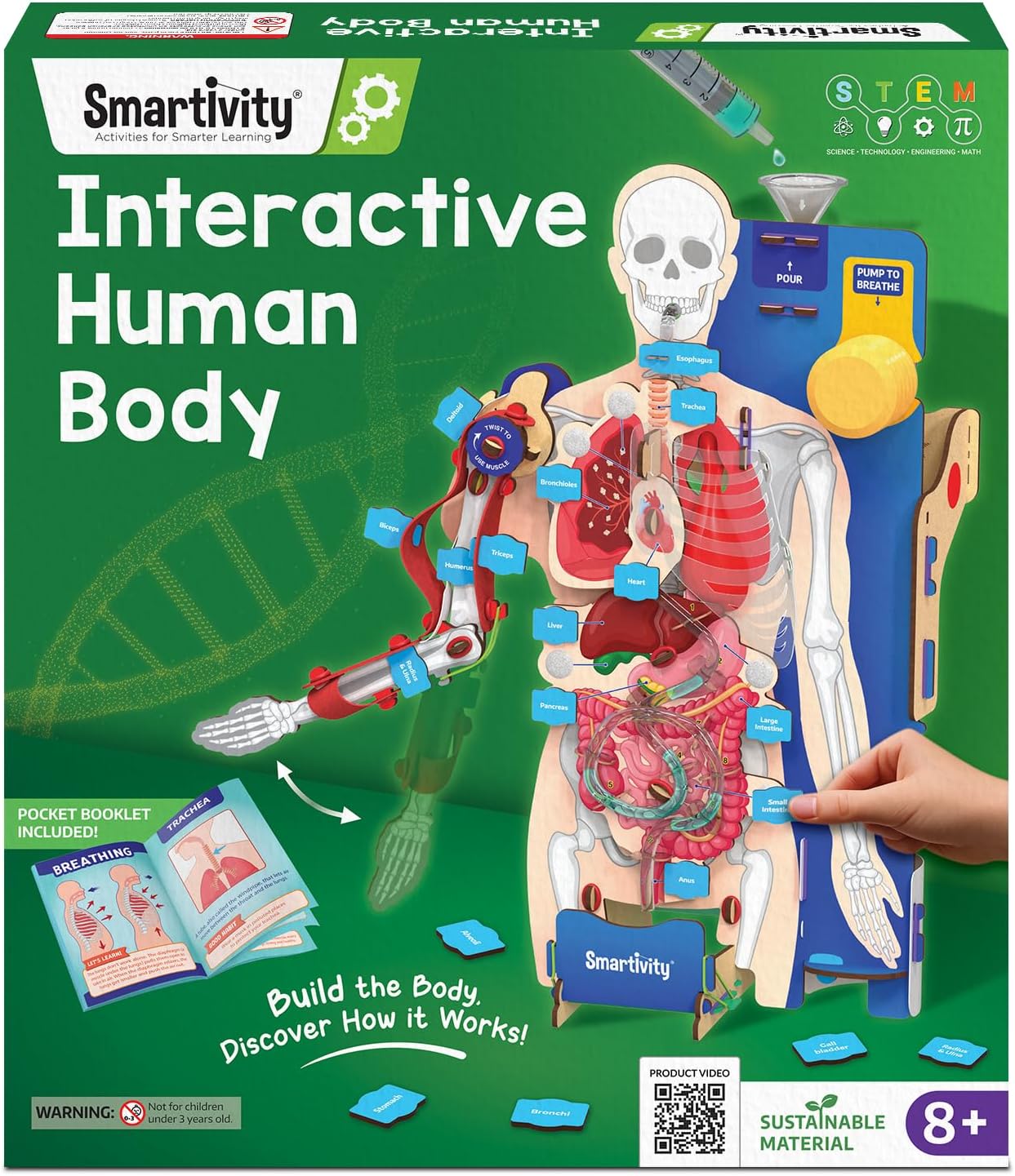Smartivity Interactive Human Body Model for Kids 8-14 Years I Dynamic Body Parts & Organs + Learning Booklet | Birthday Gift for Boys & Girls | Educational Toy for 8,9,10,11,12,13,14 Years