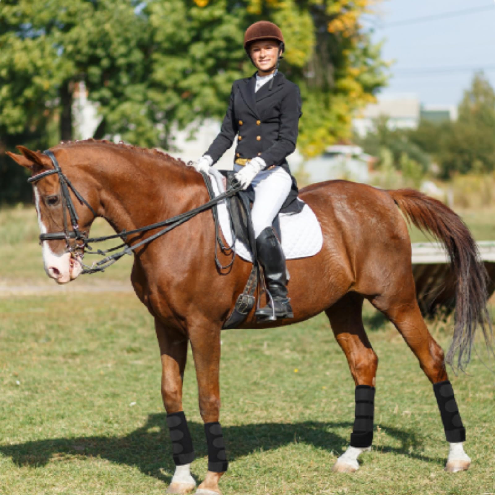 Predolo 4 Pezzi Protezioni Gambe Cavallo Antiurto Parastinchi Ammortizzanti Attrezzatura Equestre