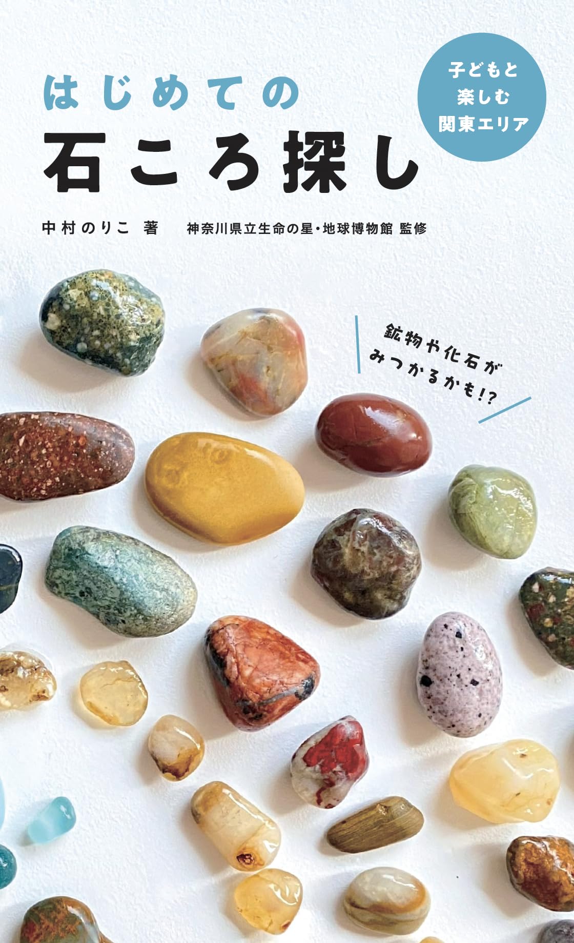Amazon.co.jp: はじめての石ころ探し 子どもと楽しむ関東エリア : 中村