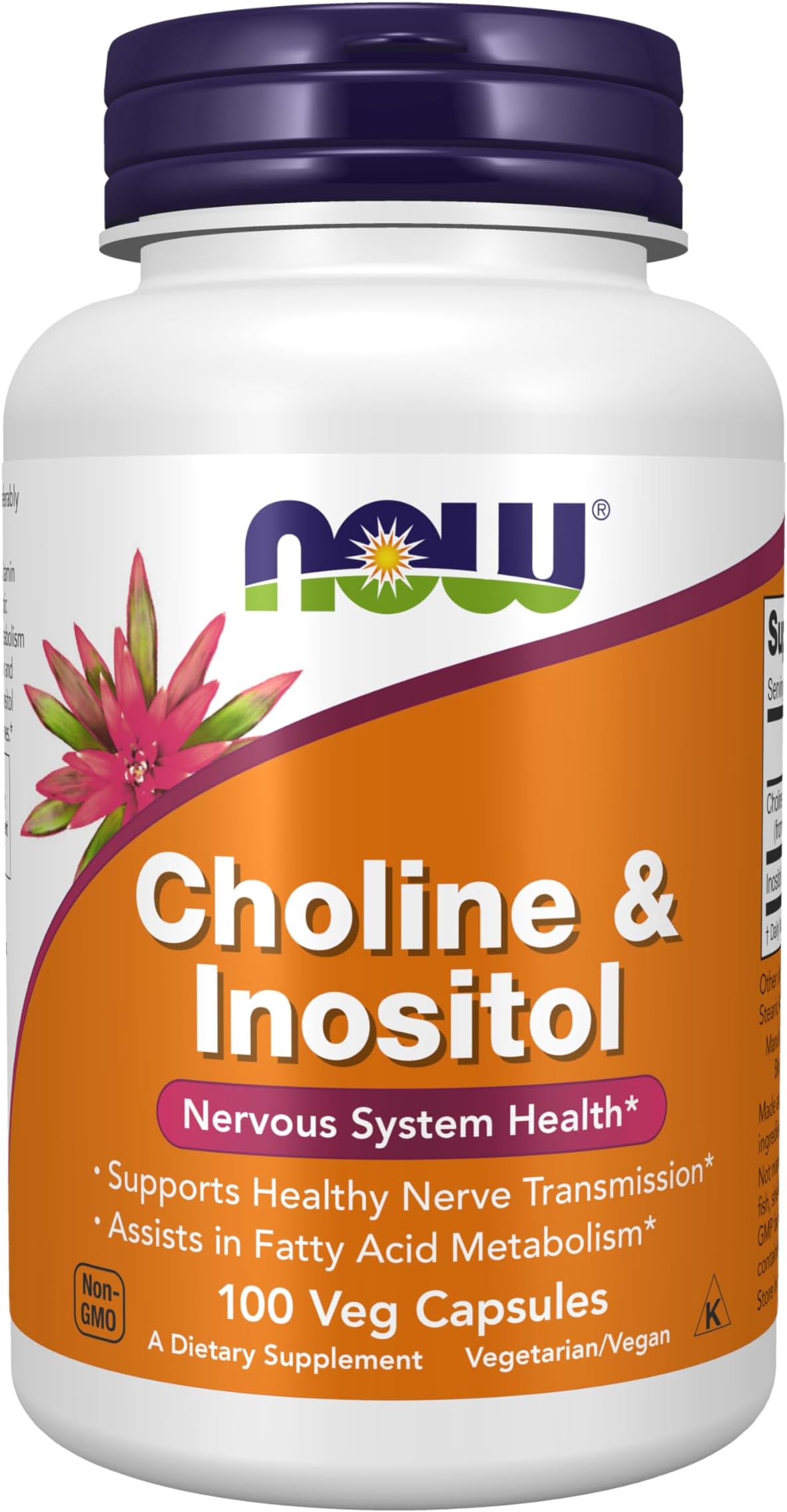 Foods Choline & Inositol 100 Veg Capsules | Nervous System Health - Supports Healthy Nerve Transmission | Assists in Fatty Acid Metabolis