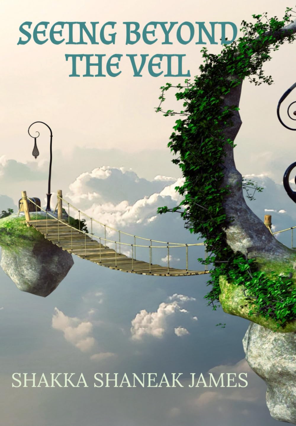 Seeing Beyond The Veil