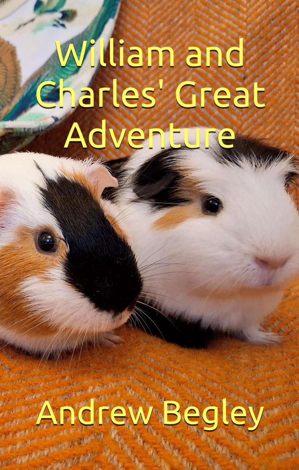 William and Charles' Great Adventure