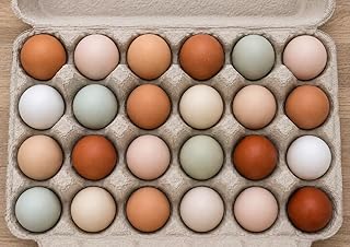 Musa Meadows Farm Fresh Free-Range Chicken Eggs, Pasture Raised, Rich Flavor, Protein Packed, 24 Count