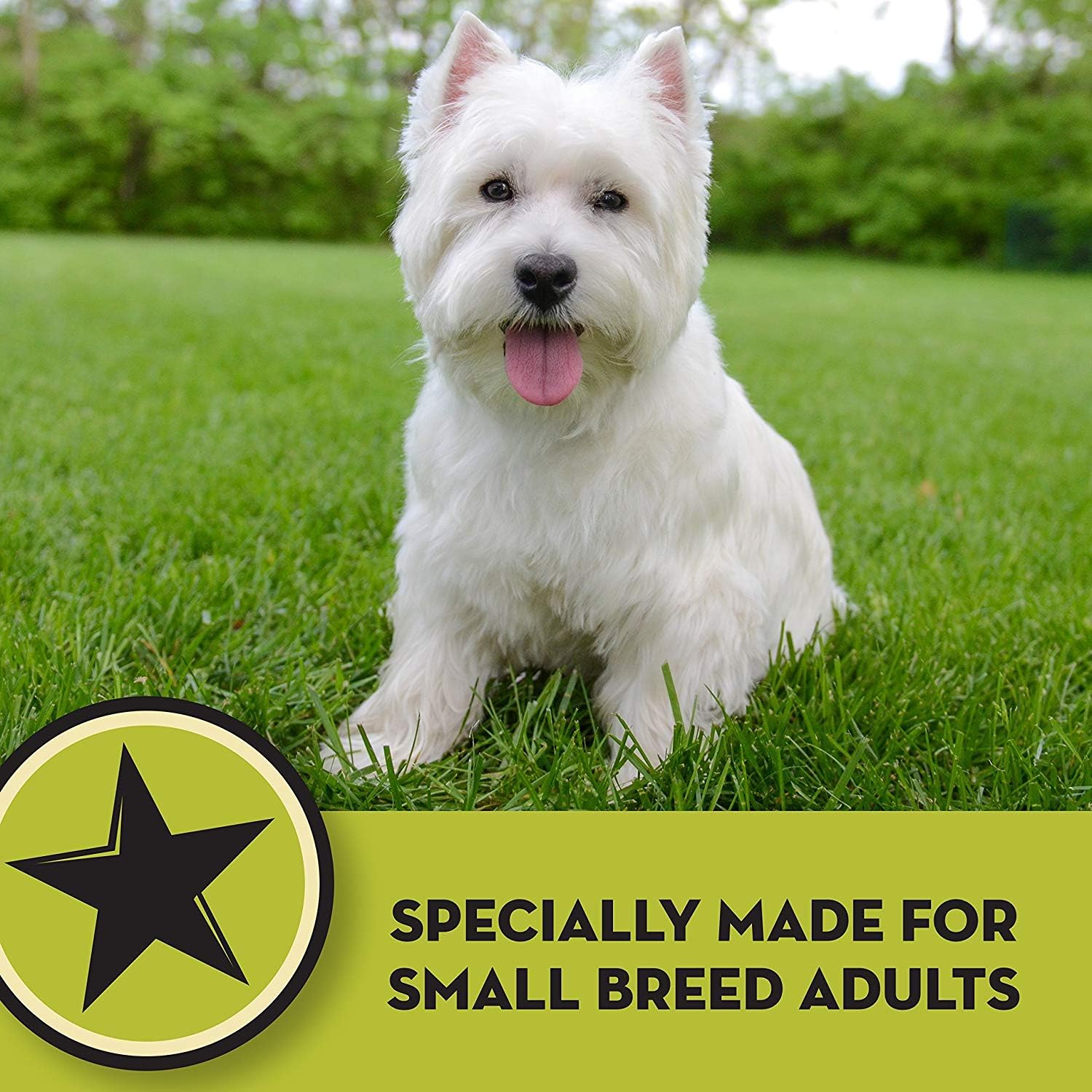 avoderm small breed