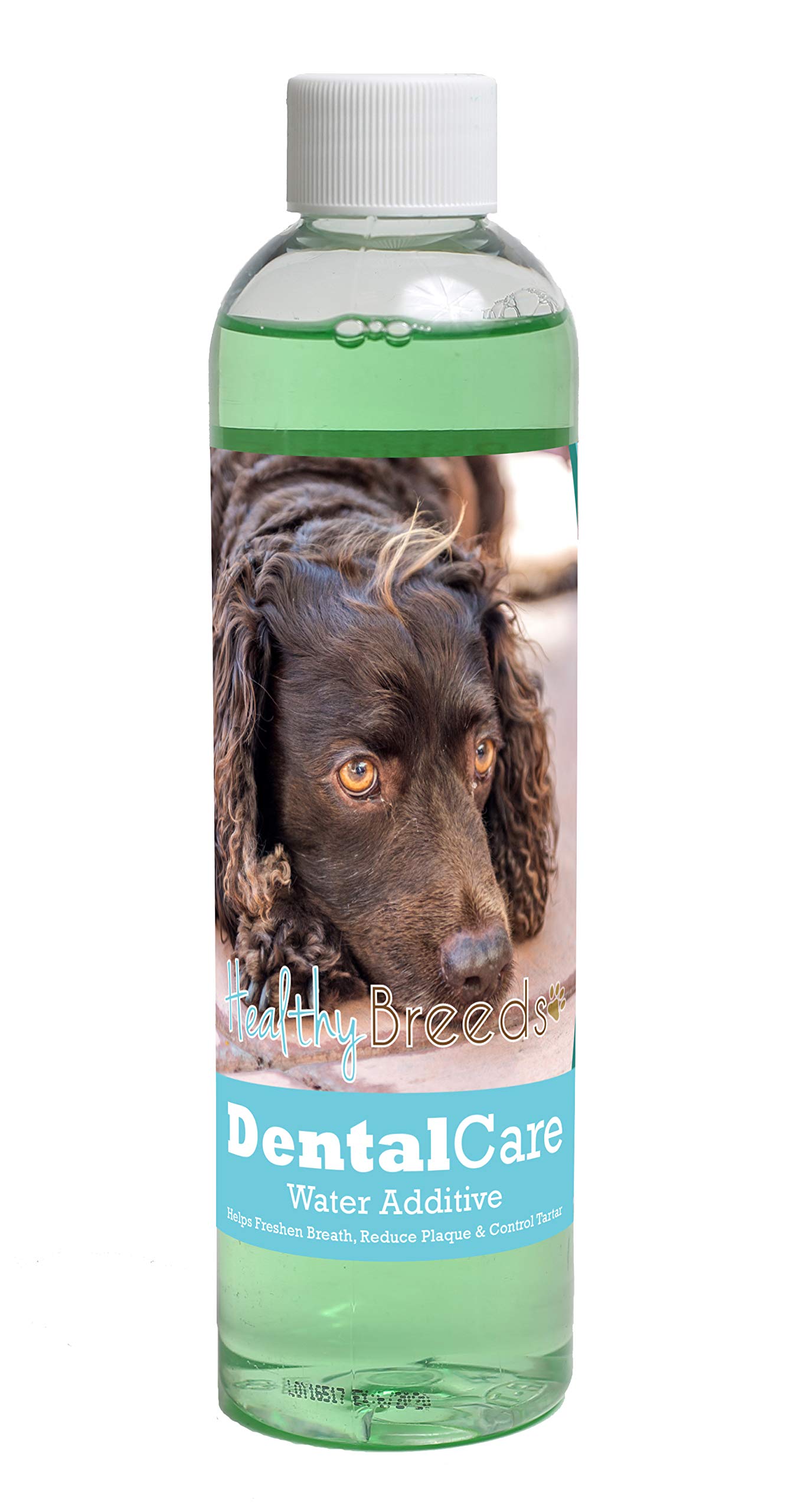 Healthy Breeds Dog Dental Care Water Additive for American Water Spaniel - Helps Freshen Breath, Reduce Plaque &amp; Control Tartar - Mint Flavor - 8 oz