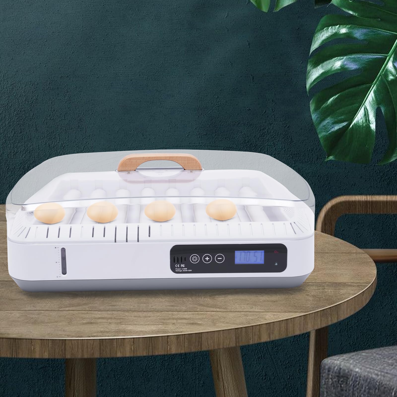 Incubatrice automatica per uova – Incubatrice automatica per galline – Restituzione automatica 35 uova – Incubatrice automatica con controllo della temperatura