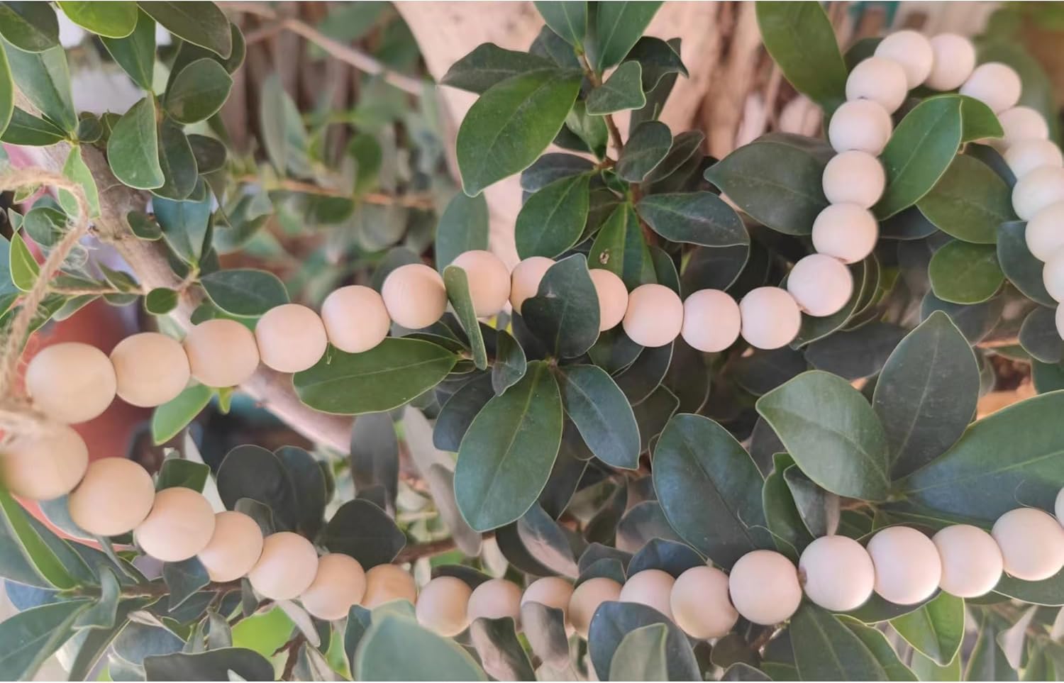 240PCS Natural Round Wooden Beads for Craft,Natual Wood Spacer Loose Beads for Home Party Festival Decoration (Natural Wood Color 16mm) - Image 6