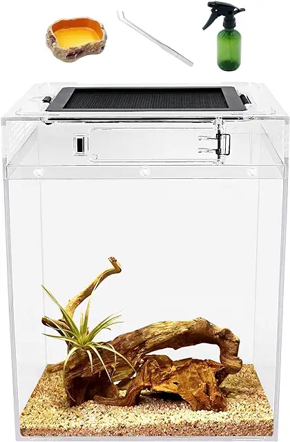 Insect Terrarium Set: 20x20x28cm Reptile Tank with Top Ventilation