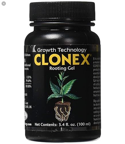 hydrodynamics Internacional 100ml CLONEX raĂces Gel hydrodynamics Internacional 100ml CLONEX raĂces Gel