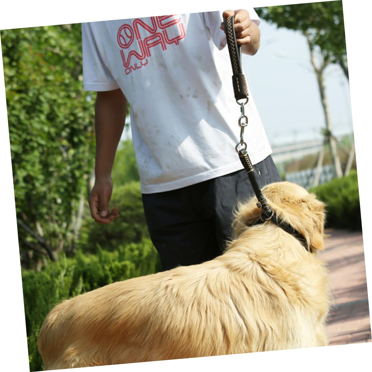 Balacoo 25cm Short Traction Rope Leash for Pet Dog Cat Super Strong Pulling Strap Pu Material
