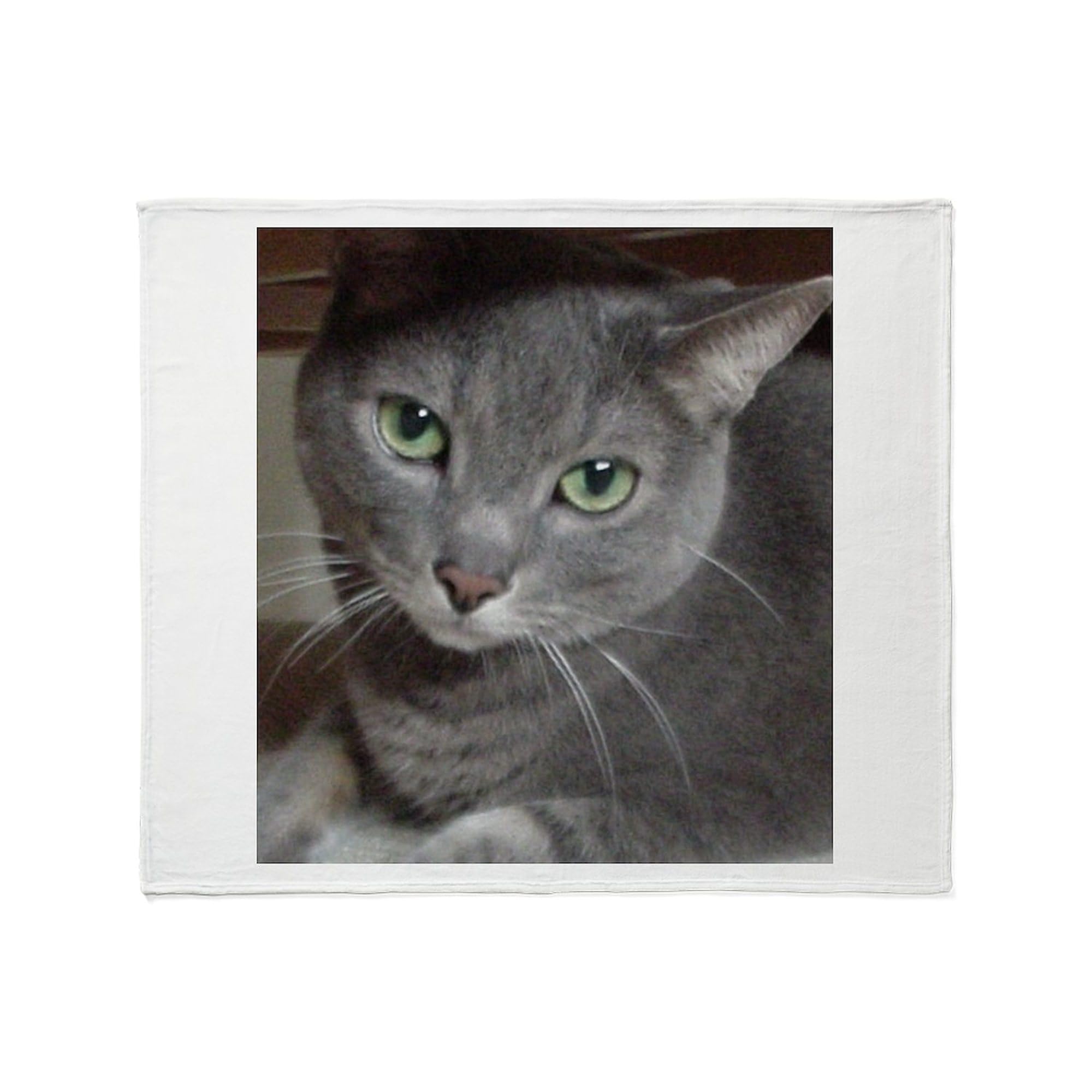 CafePress Russian Blue Gray Cat Throw Blanket Super Soft Fleece Plush Throw Blanket, 60"x50"