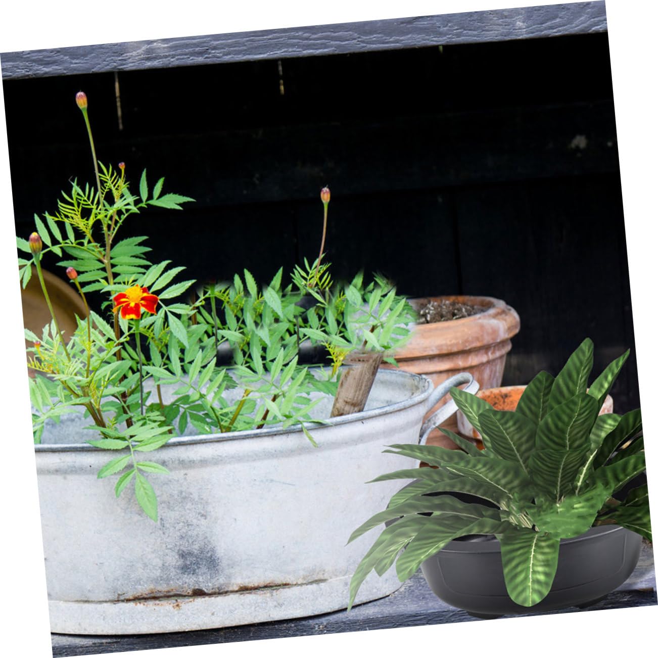 Set di 3 Vasi Ovali Grandi in Plastica con Foro di Drenaggio per Bonsai, per Giardino, Balcone e Piante da Esterno