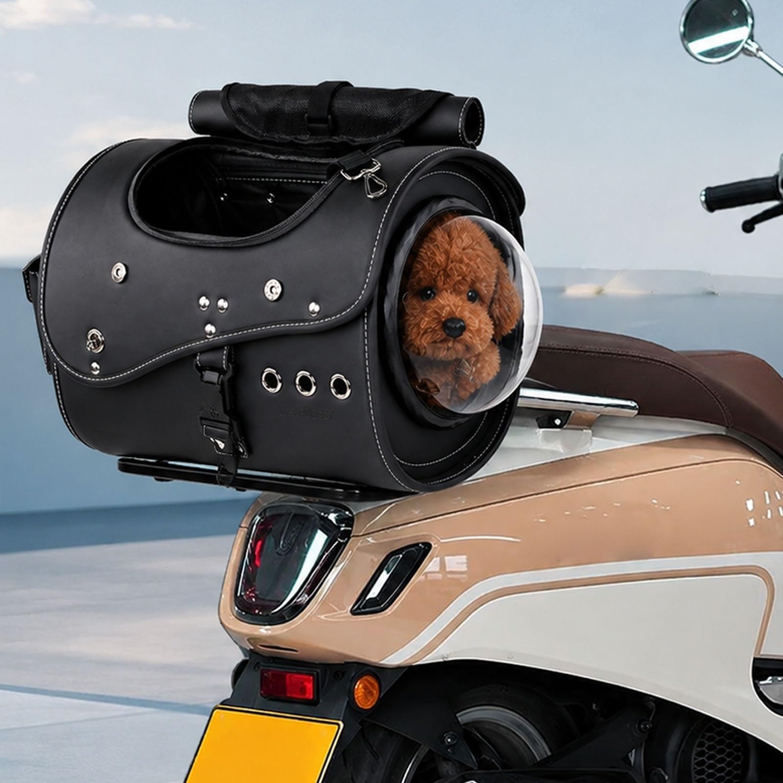 Transportín para Perro En Moto, Ventilado, hasta 5 Kg, para Portaequipajes