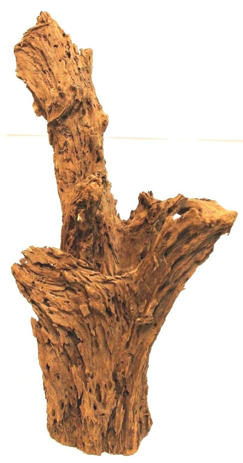 Wohnkult Radice di mangrovia XL 60-45 cm Decorazione per Acquario Radice Legno Mangrovia