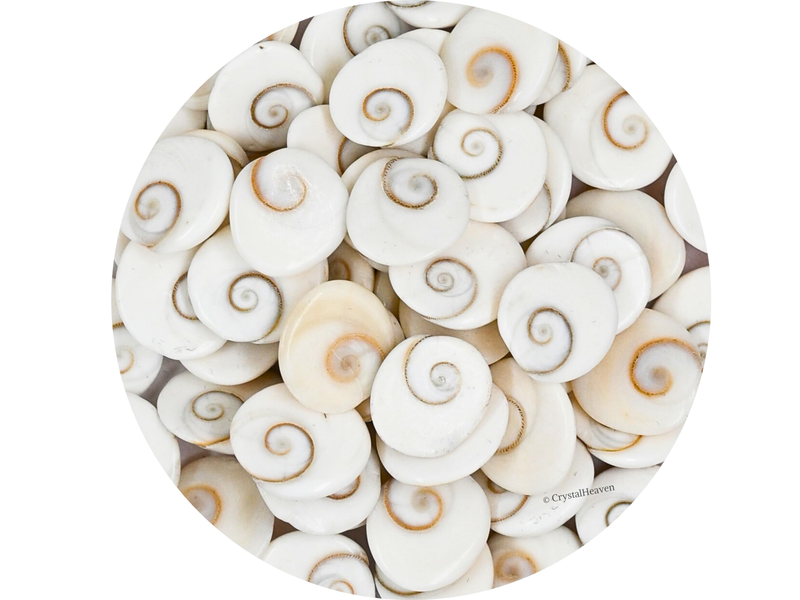 Gomati Chakra Original River Stones - 11 Pieces Gomti Chakra Original from Gomathi River Dwarka (11 Pieces, 10mm) (B0CZP6QV7G) Amazon Price History, Amazon Price Tracker