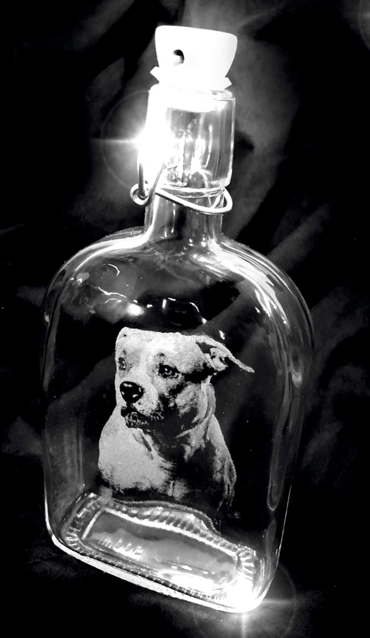 View 6
