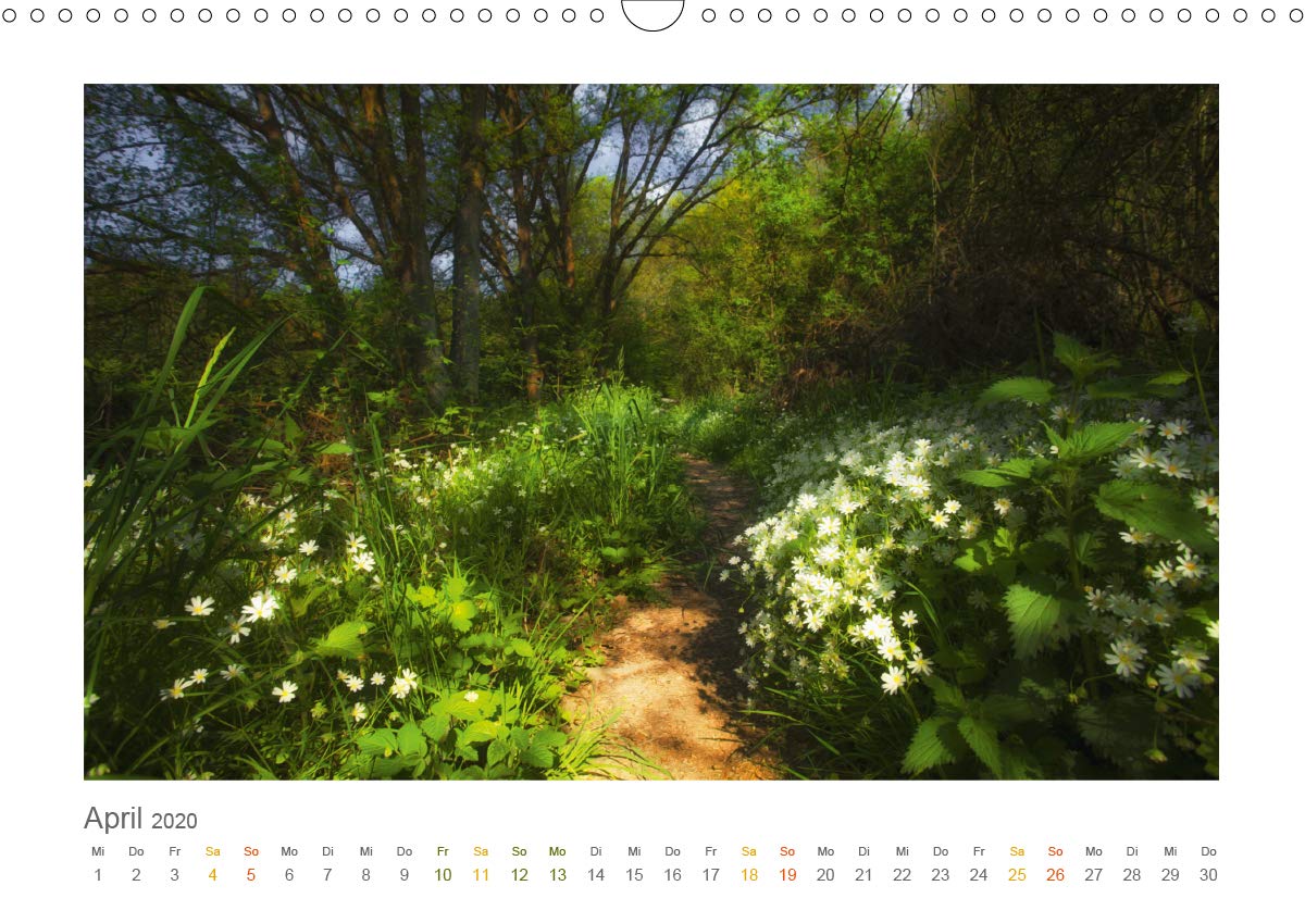 Im Märchenwald des Untertaunus (Wandkalender 2020 DIN A3 quer): Monatskalender, 14 Seiten, farbig (Monatskalender, 14 Seiten ) (CALVENDO Natur)