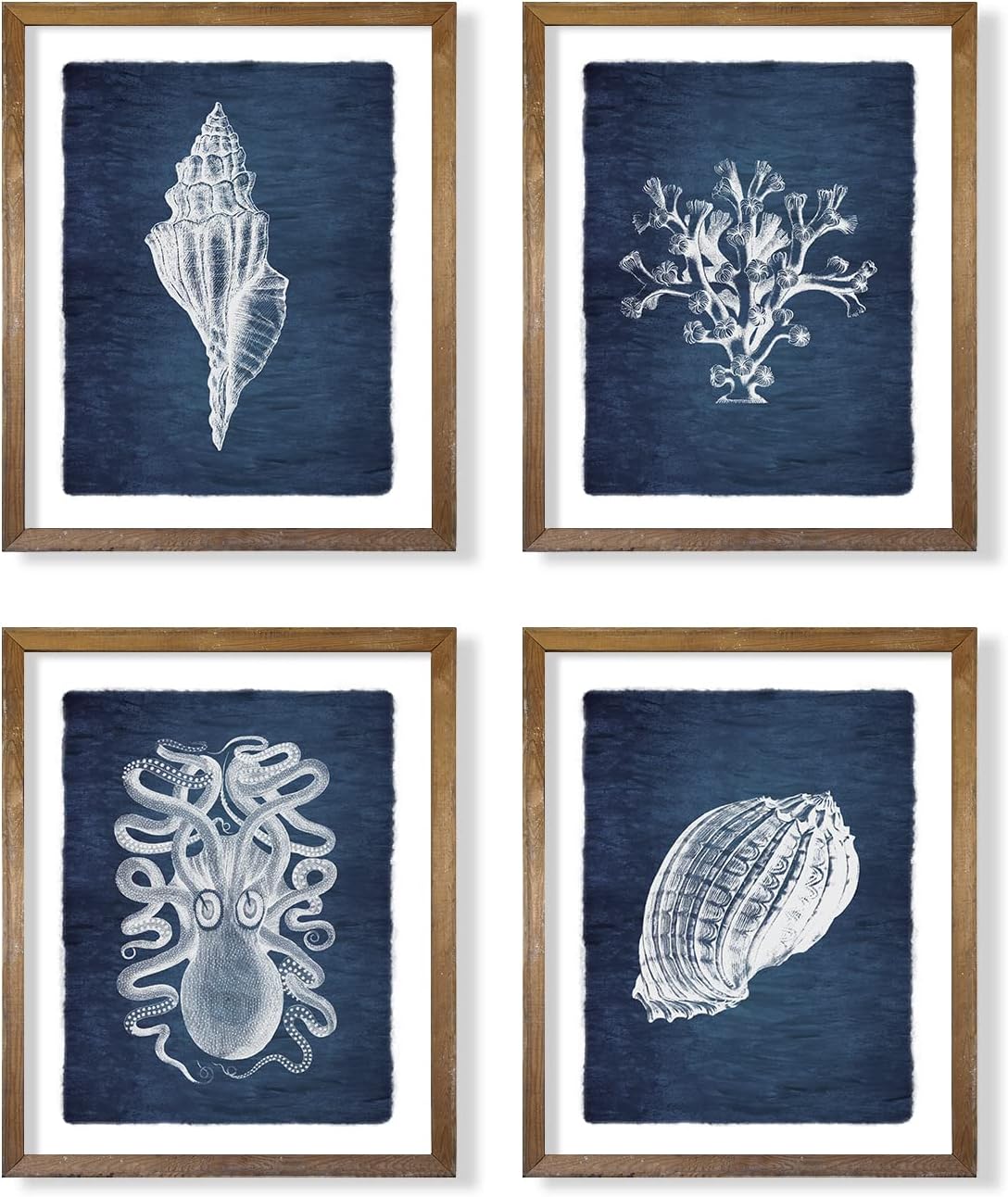 Navy Blue Nautical Themed Wall Art - Sea Shell Grass Octupus Poster Print - Ocean Sea Creature Pictures for Beach Cabin - Rustic Farmhouse Kitchen Bathroom - Vintage Gift Small Coastal Art Wall Décor