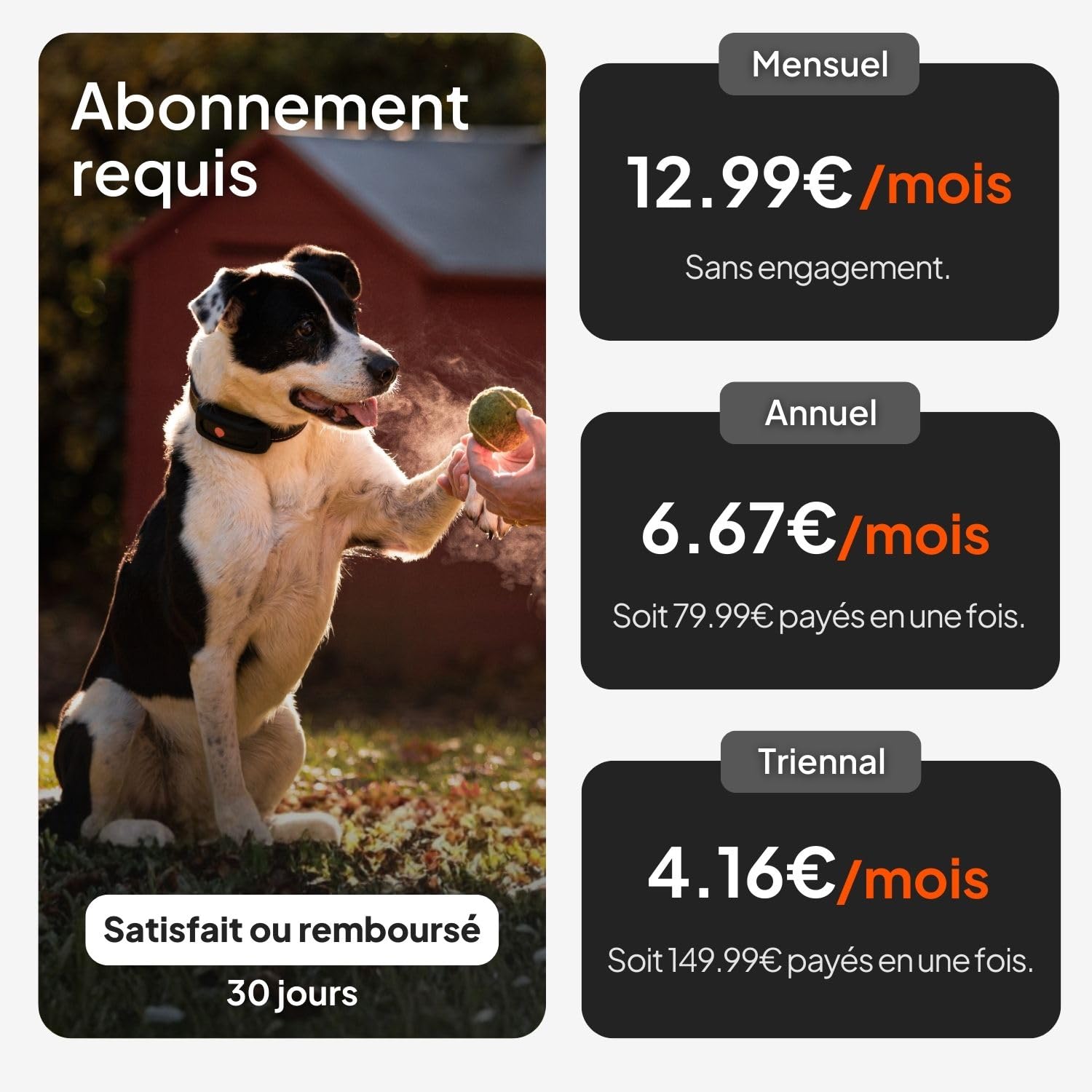 Weenect Chien XT - Traceur GPS pour Chien sans Collier | Étanche | Antenne XL | Portée Illimitée | Garantie à Vie | Abonnement Requis