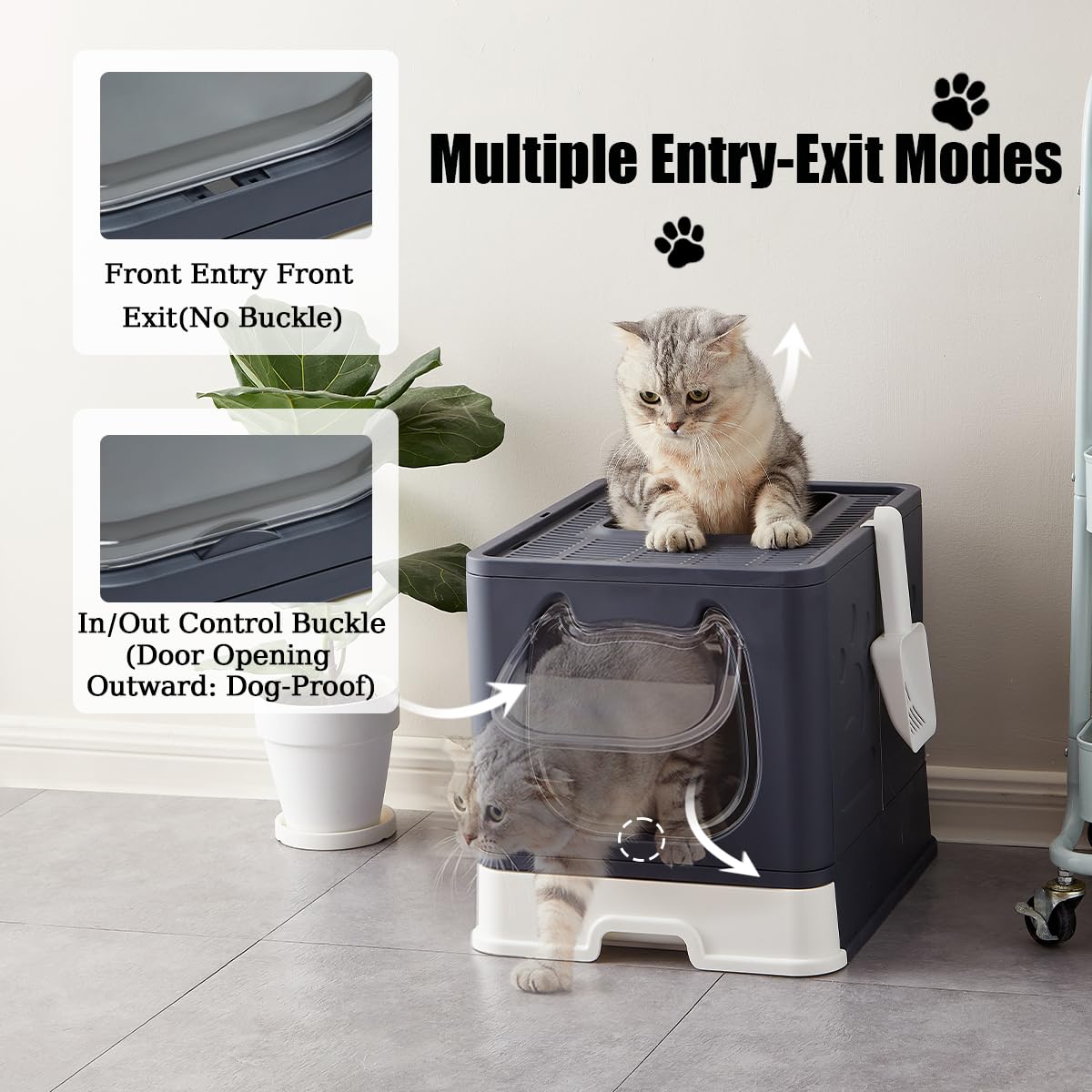 Vealind Covered Litter Box with Lid, Low Entry Kitten Small Litter Box Enclosure with Scooper and Brush, Anti-Splashing Top Entry Litter Box Black