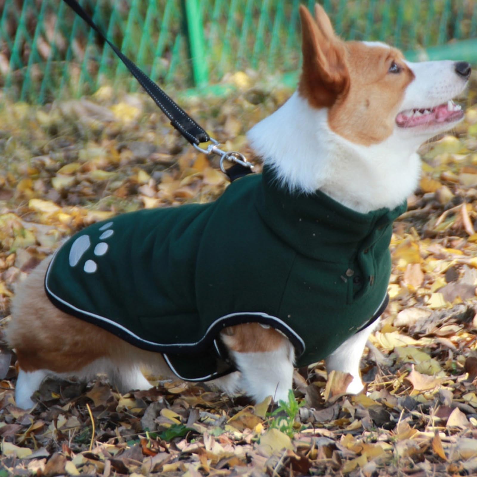 Vestiti per cani Media Size Abbigliamento per cani Pet Cold Weather Giacche Pet Fashion Gilet per passeggiate serali