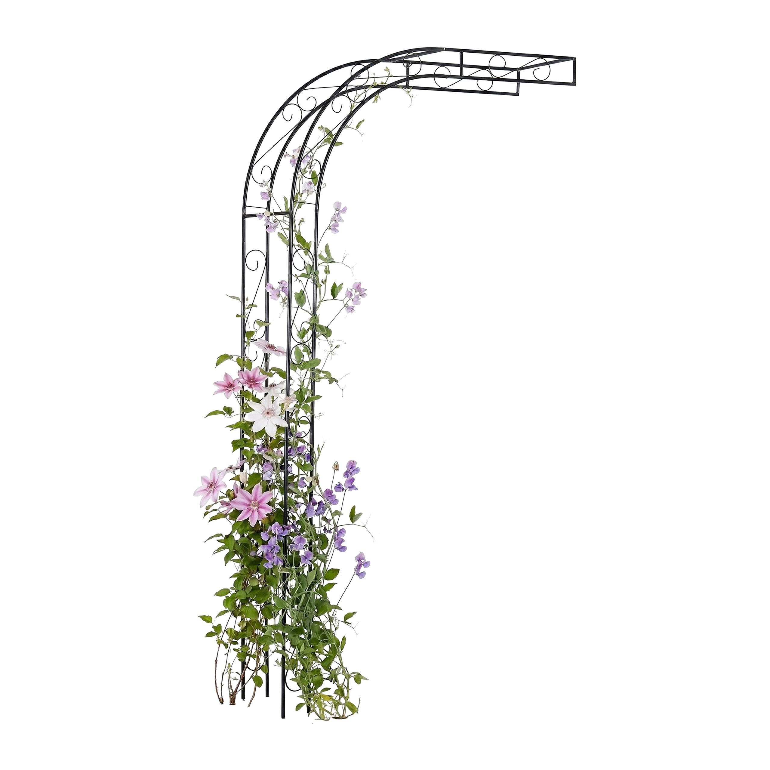 Relaxdays – Demi-Arceau pour rosiers, métal, H x l x P : 240 x 125 x 39 cm, Treillis pour Plantes grimpantes, Mural Noir