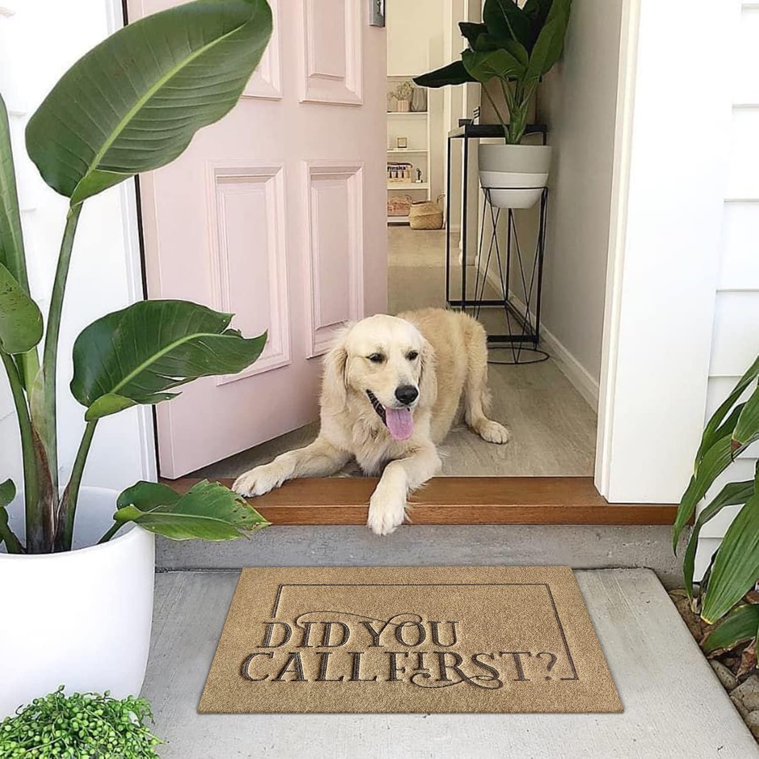 Alfombrilla De Bienvenida De Coco Natural (Coir) Antideslizante – Interior/Exterior Multicolor (Rapide)