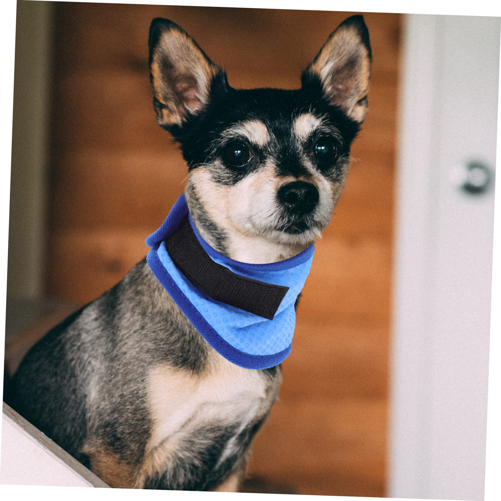 BESPORTBLE 5stücke Kühlendes Hundehalsband Für Sommer Atmungsaktive Und Leichte Bandana Für Haustiere Für Heiße Tage Mit Kühlendem Effekt Pet Cooling Scarf Für Hunde Und Katzen