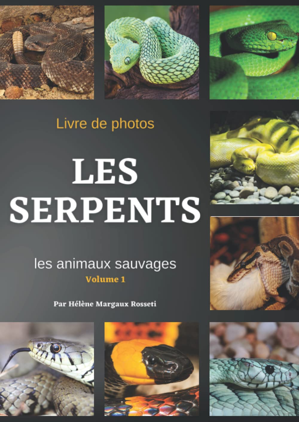 SERPENTS - Livre de photos - Les animaux sauvages: 130 magnifiques photos de serpents en milieu sauvages. Pour enfants et adultes amoureux des