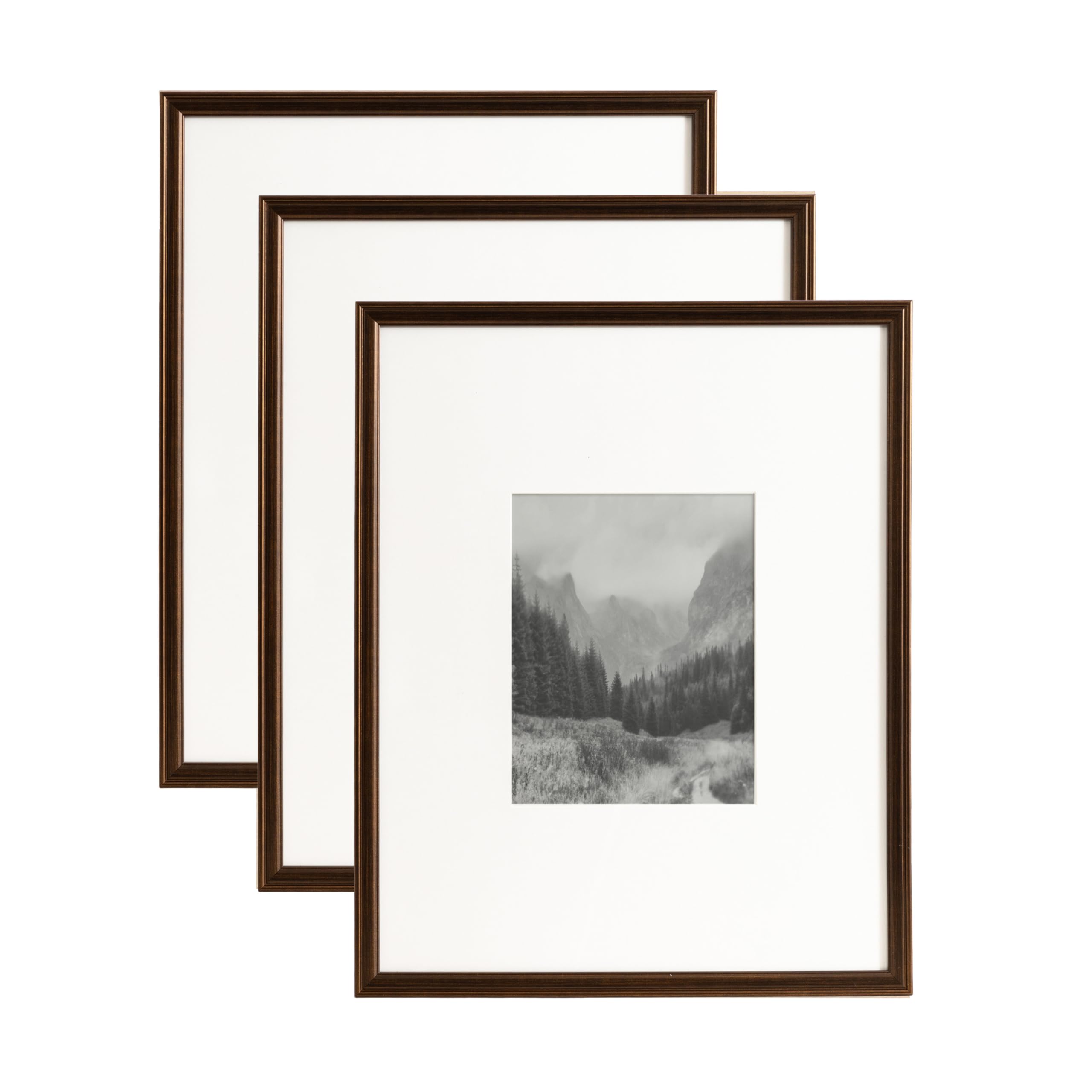 Amazon.com - Kate and Laurel Adlynn Rectangle Picture Frame Set of