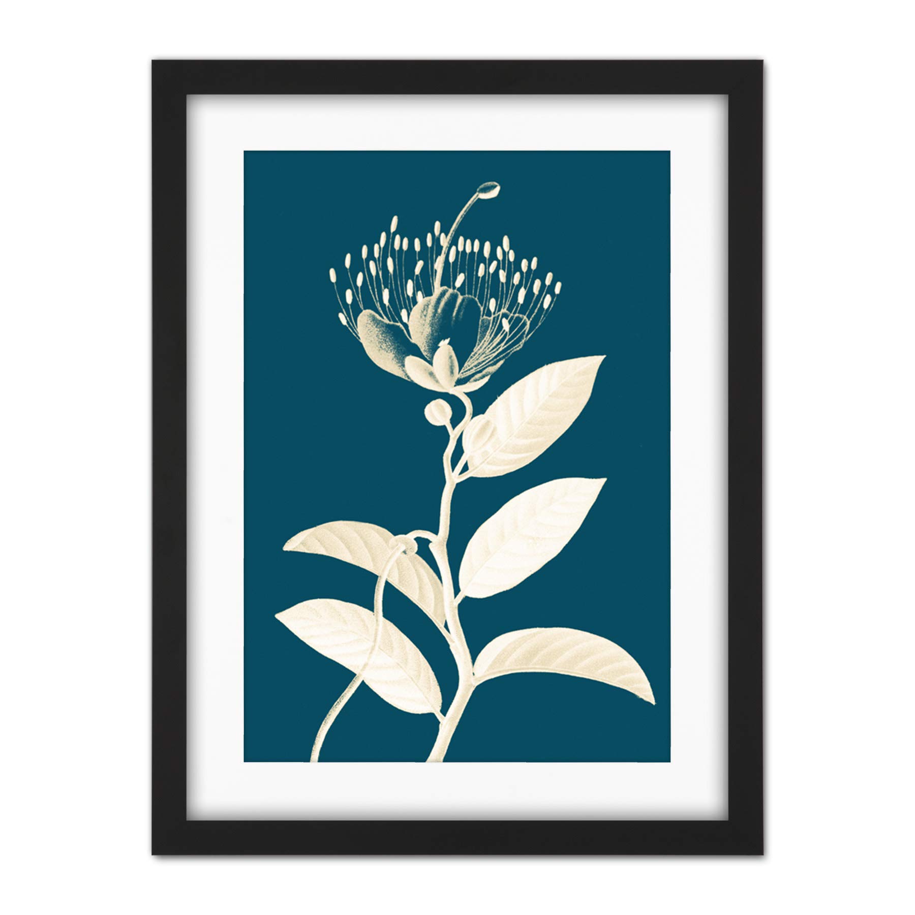 Wee Blue Coo Modern Bold Biodiversity Blue Plant Artwork Framed Wall Art Print 18X24 Inch