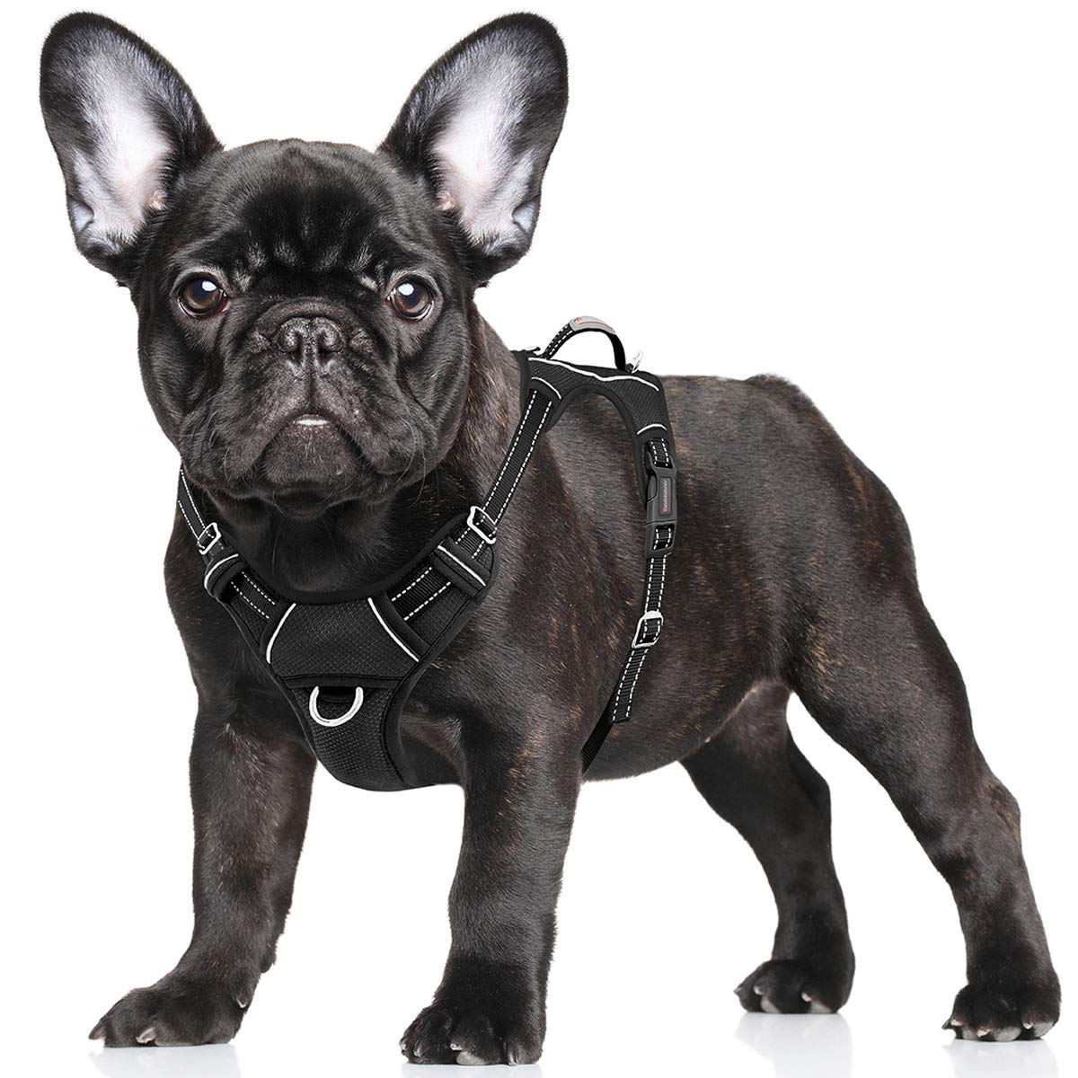 BARKBAY No Pull Dog Harness Large Step in Reflective Dog Harness with Front Clip and Easy Control Handle for Walking Training Running with ID tag Pocket(Black,S)