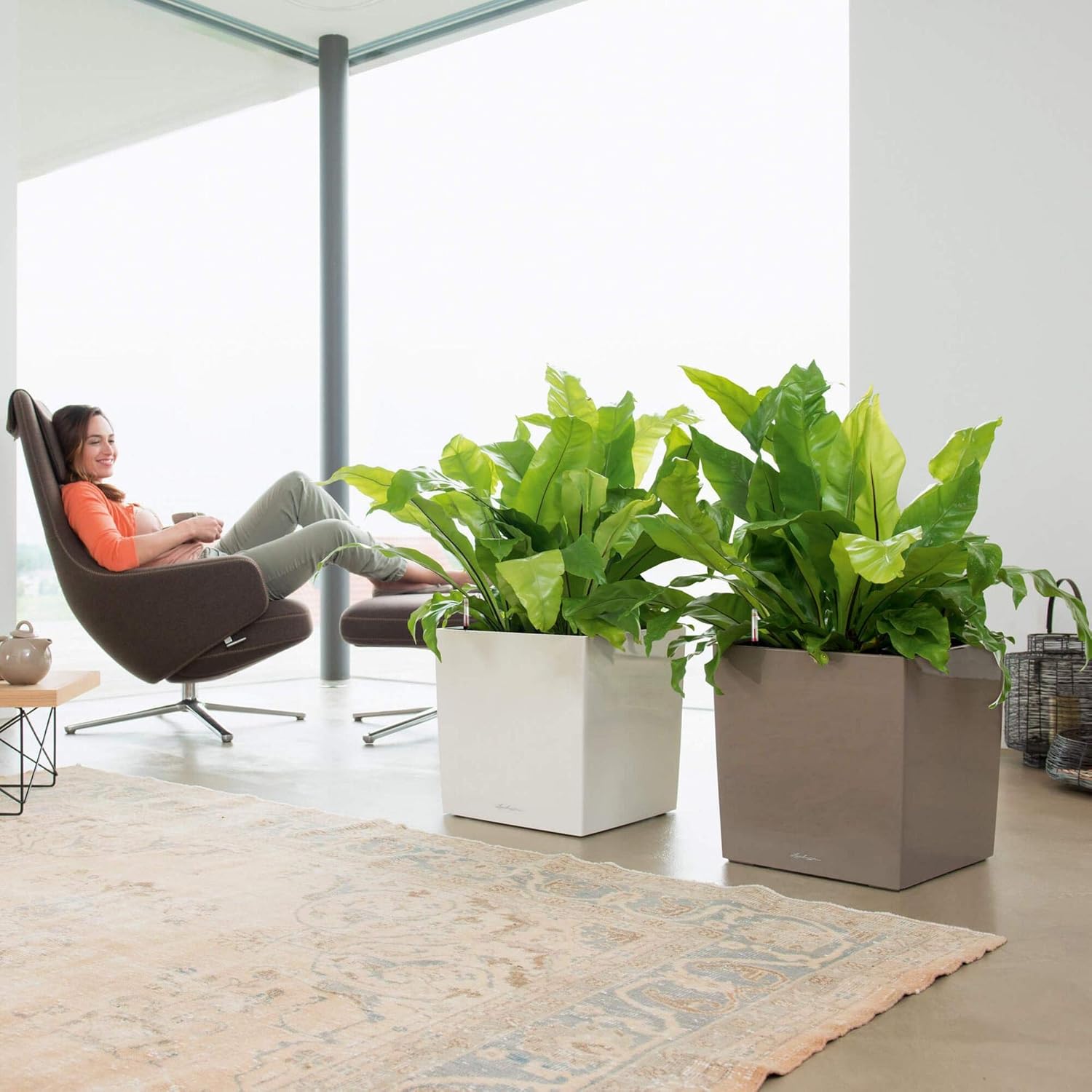 Lechuza Cube 40 Premium Shiny Taupe High Gloss, Self-Watering Square Planter, H15.7 L15.7 W15.7 in