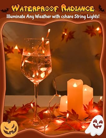 cshare Orange Halloween String Lights Battery Operated with Timer, 9.8ft 30 LED Waterproof Fairy Lights Clear Wire for Pumpkin, Wreath, Porch, Trunk or Treat, Fall Thanksgiving Indoor Outdoor Decor
