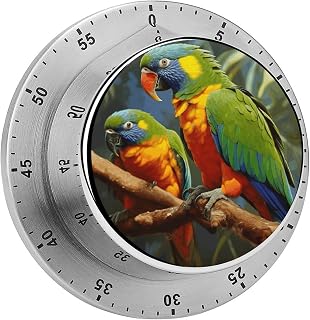 Bird Parrot Painting Timer Fashion Stainless Steel Magnetic Time Management Tool Cute Mechanical Countdown Timers for Loud Alarm for Baking Grilling Studying