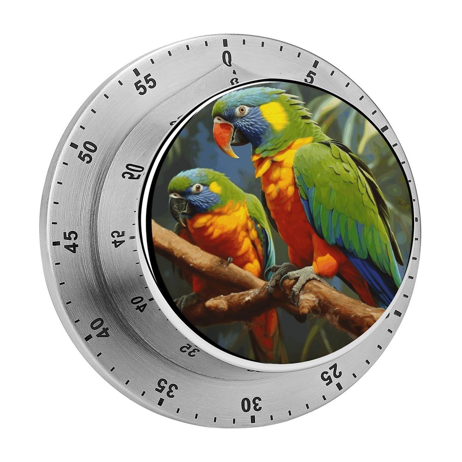 Bird Parrot Painting Timer Exquisite Stainless Steel Body Mechanical Desk Timers 60 Minutes Visual Countdown Timers with Magnetic Backing Loud Alarm Kitchen Timer for Cooking