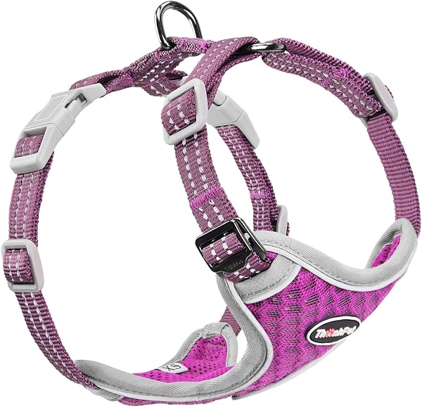 ThinkPet Arnés Reflectante Transpirable de Malla de Aire Suave con código QR para Perro, sin estrangulamiento, Chaleco para Cachorros, Perros pequeños y medianos, Gatos pequeños, Color Verde Azulado - 3