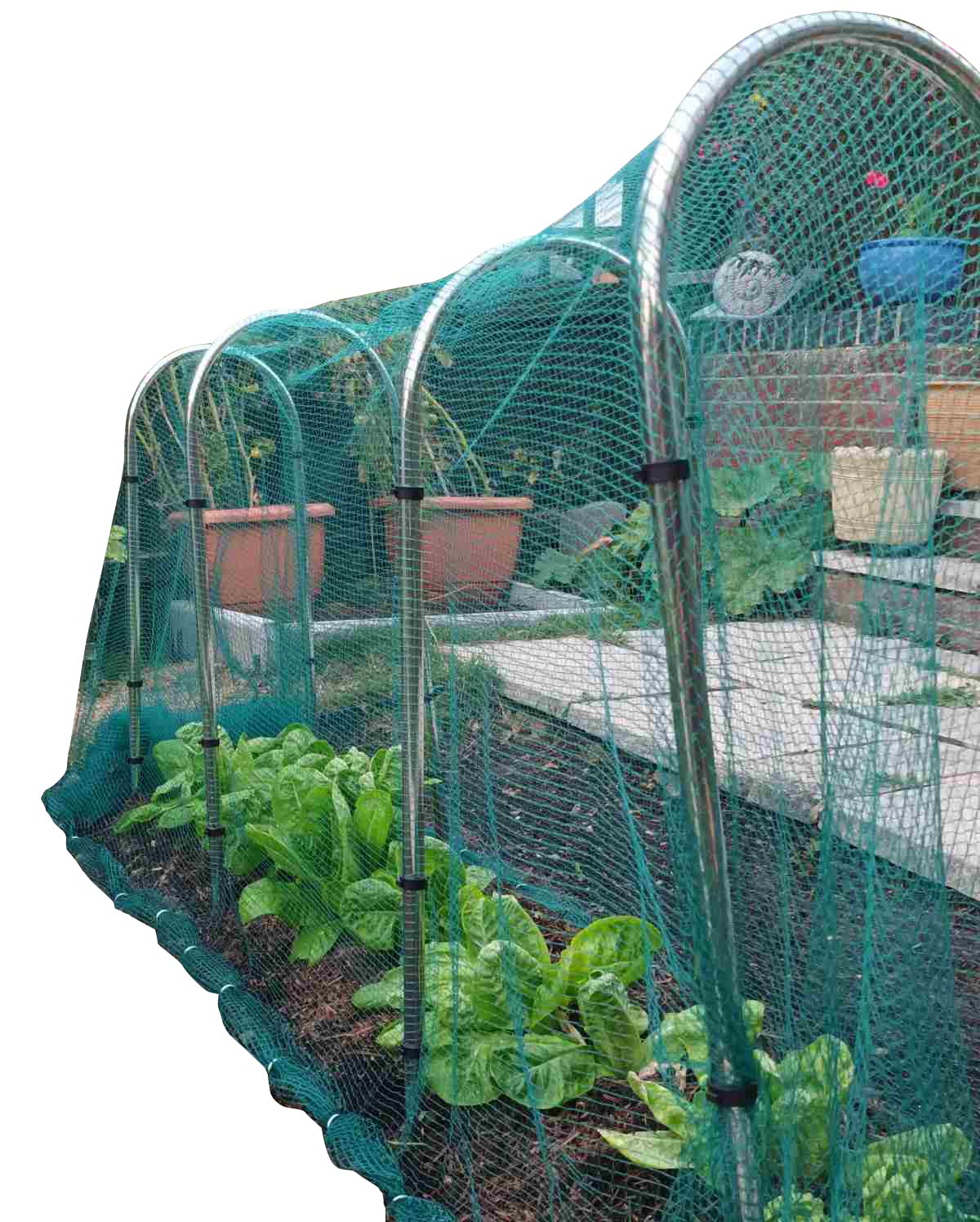 Gardening Naturally Narrow Aluminium Garden Hoops Tunnel Cloche Crop Protection (Pack of 4 Hoops + 16 Clips)